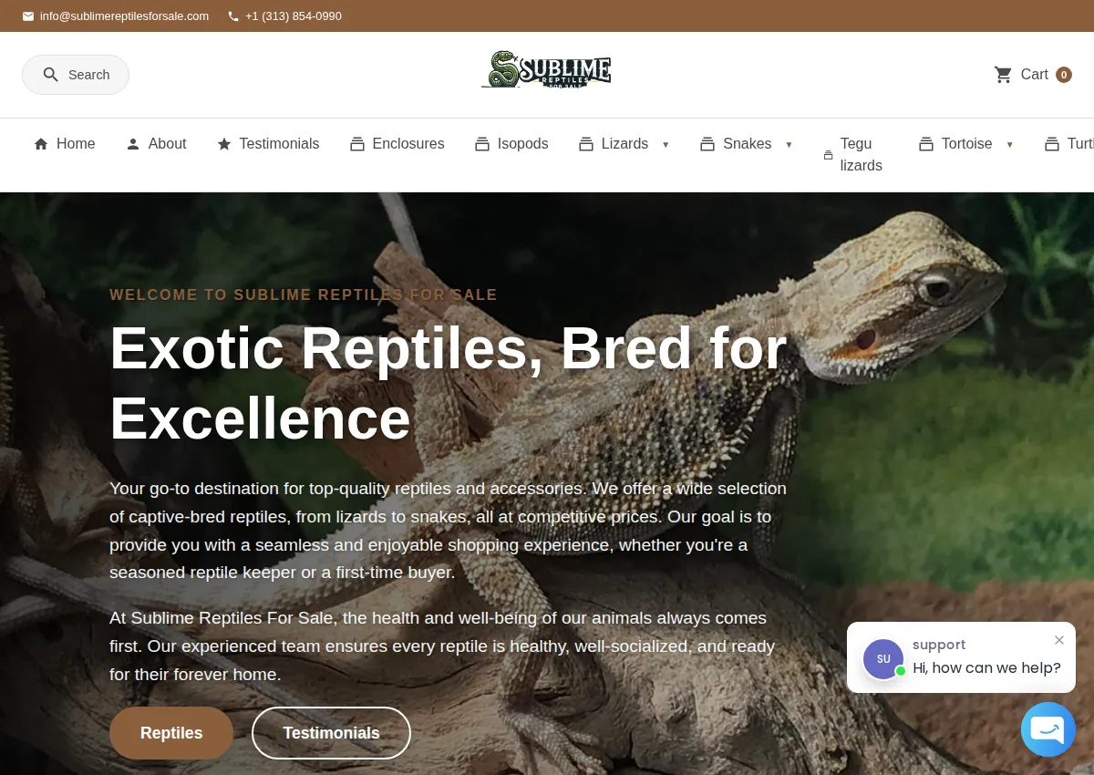 Store homepage