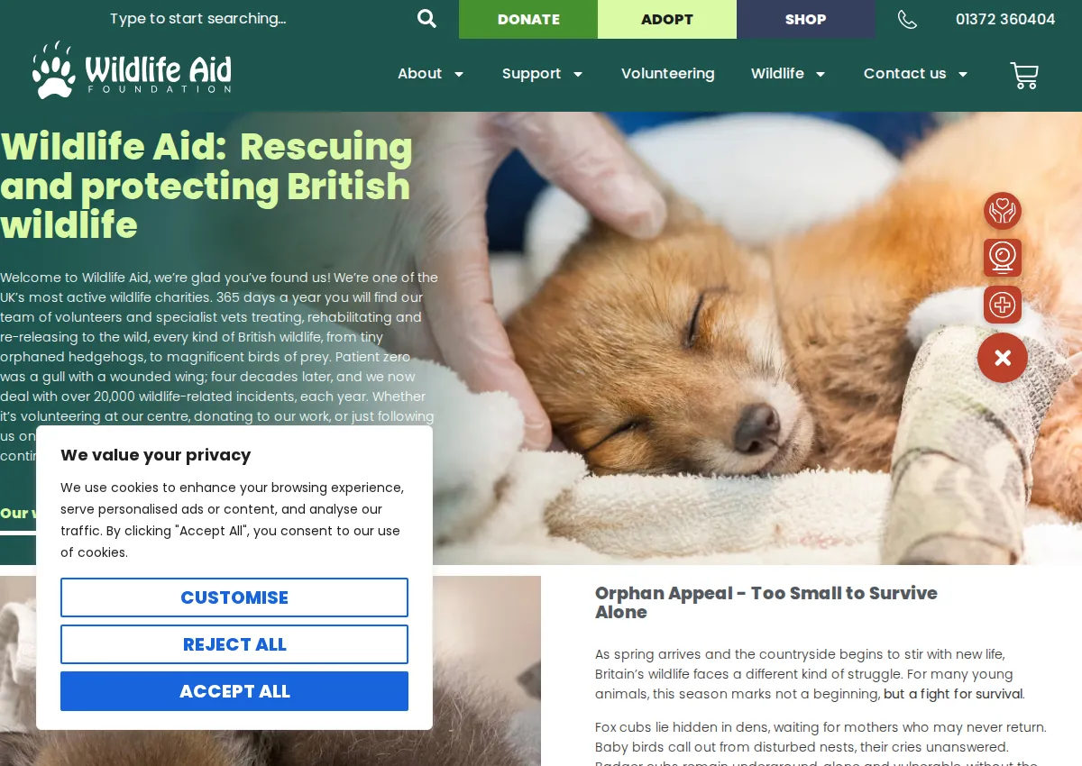Store homepage
