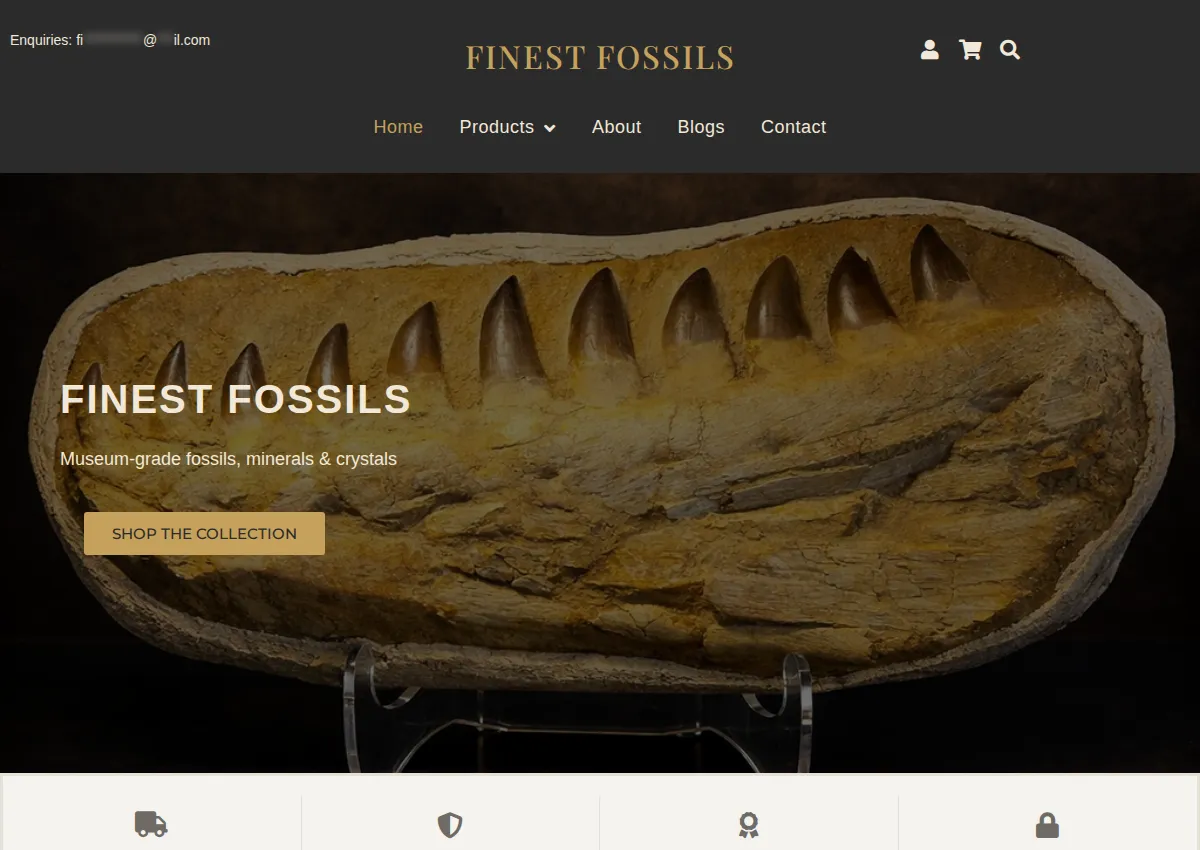 Store homepage