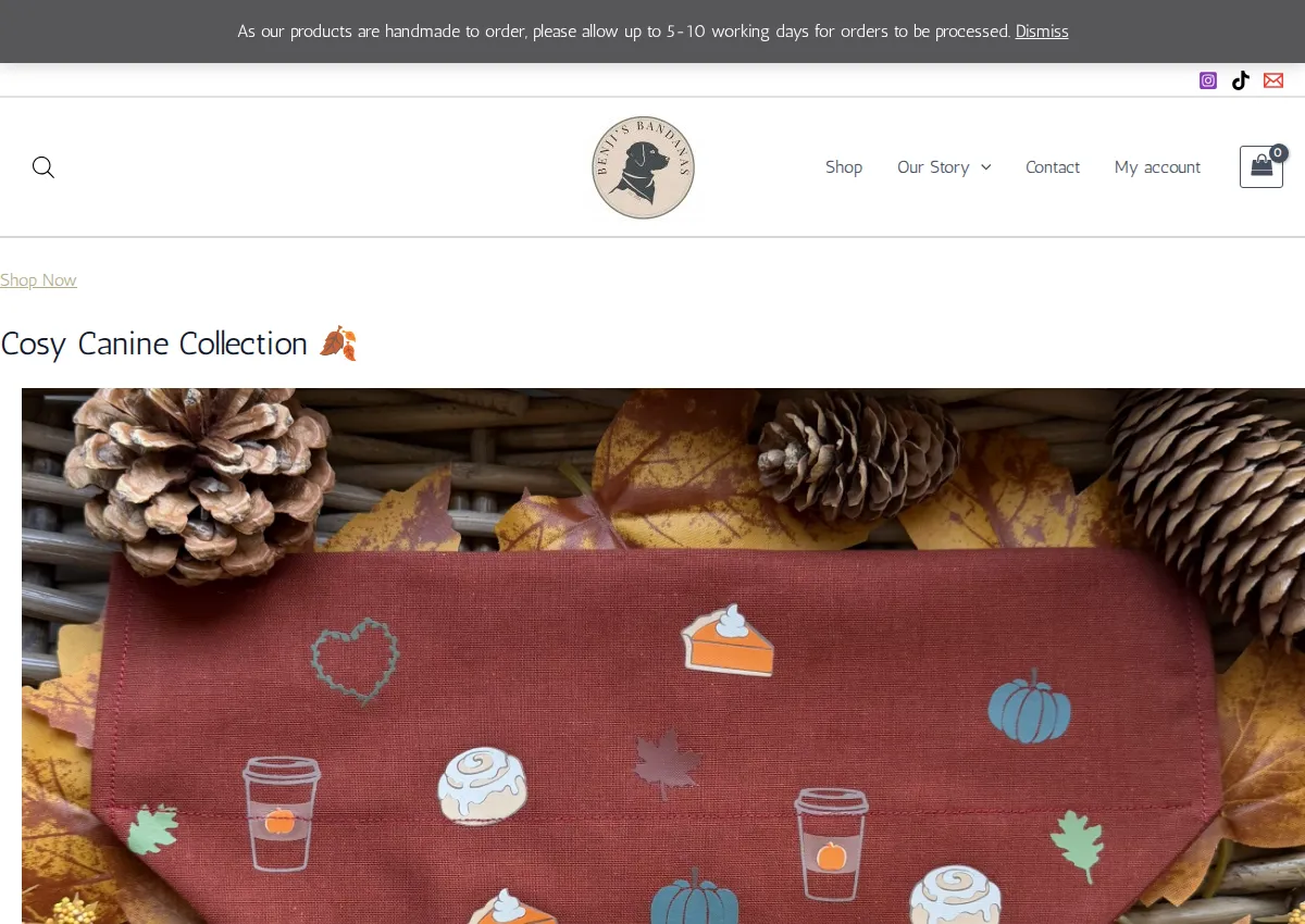 Store homepage
