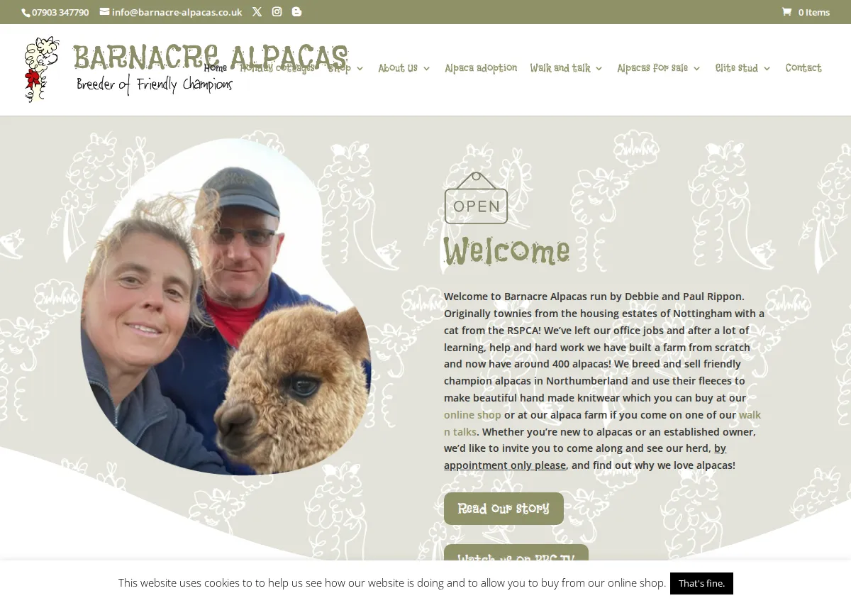 Store homepage