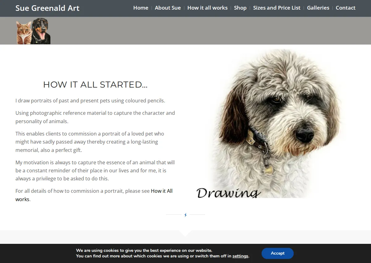 Store homepage
