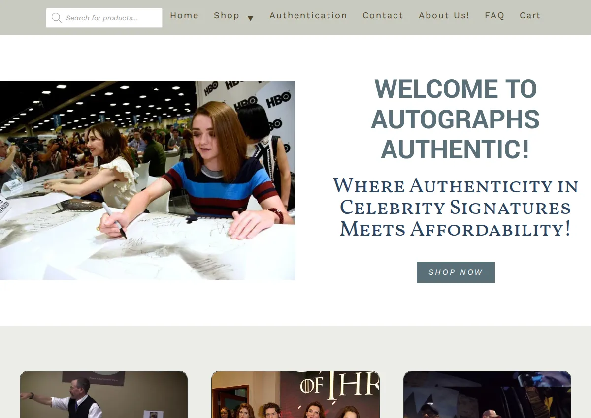 Store homepage