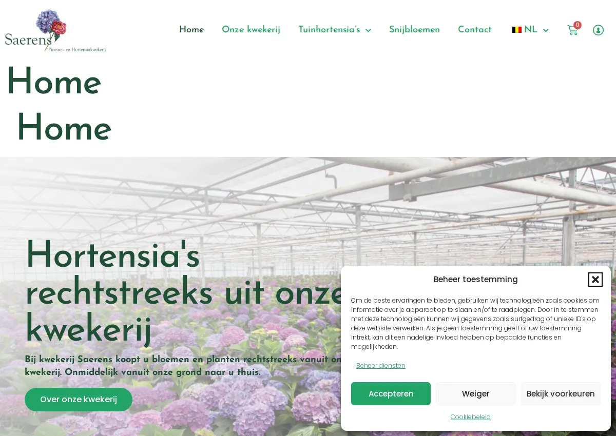 Store homepage