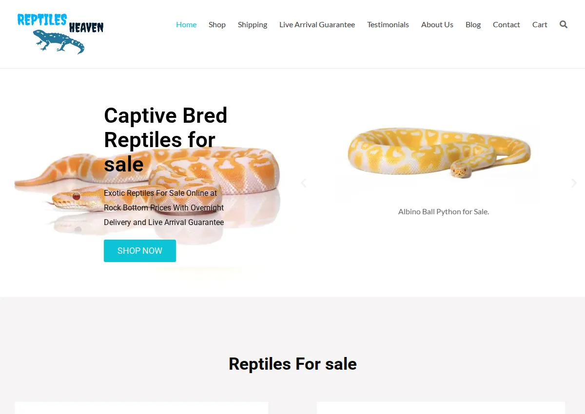 Store homepage