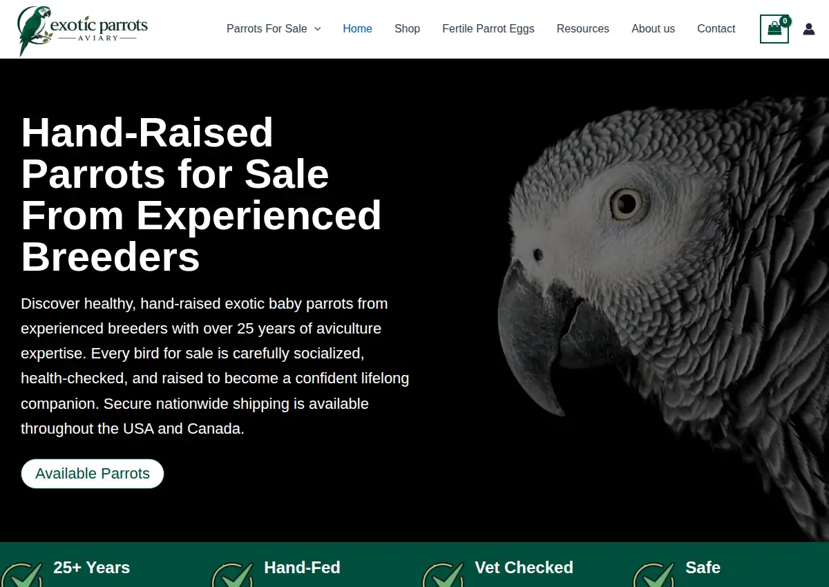 Store homepage