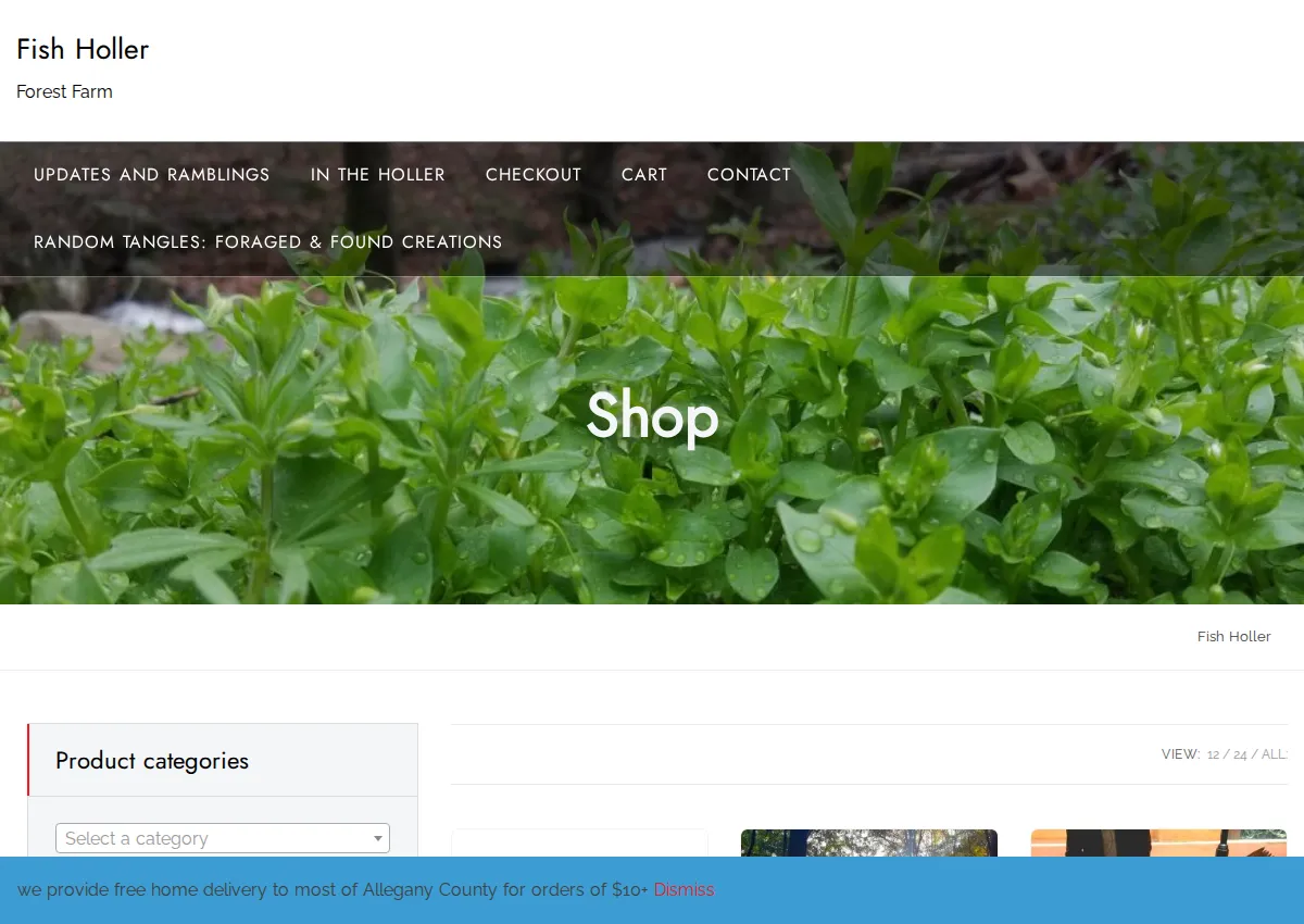 Store homepage