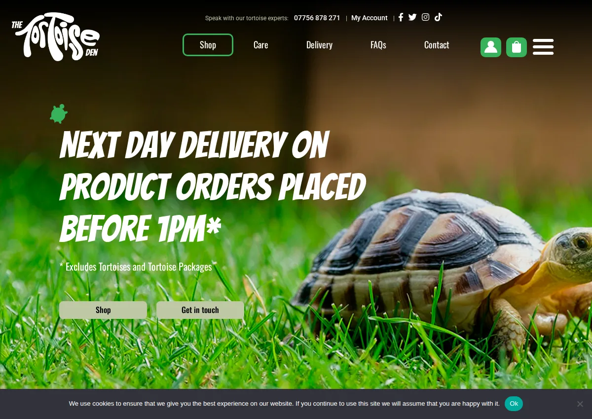 Store homepage