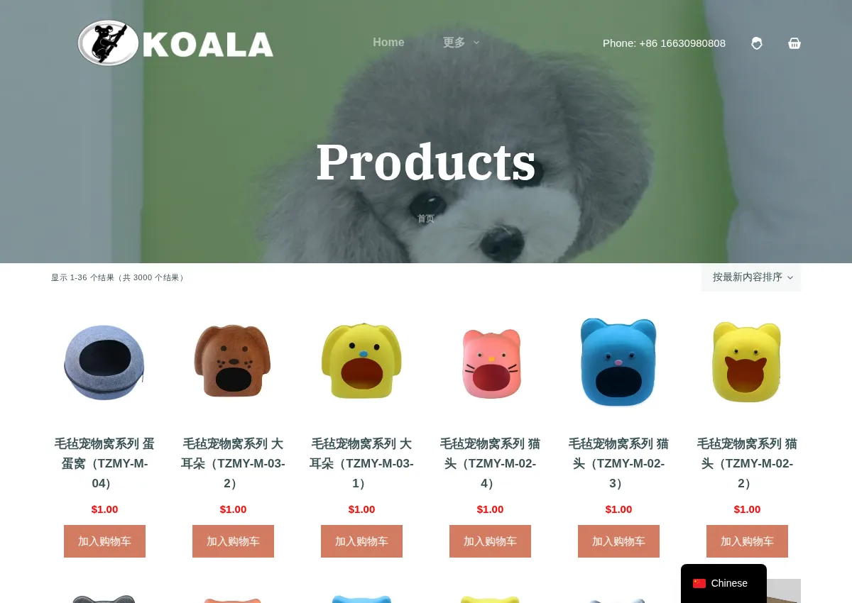 Store homepage