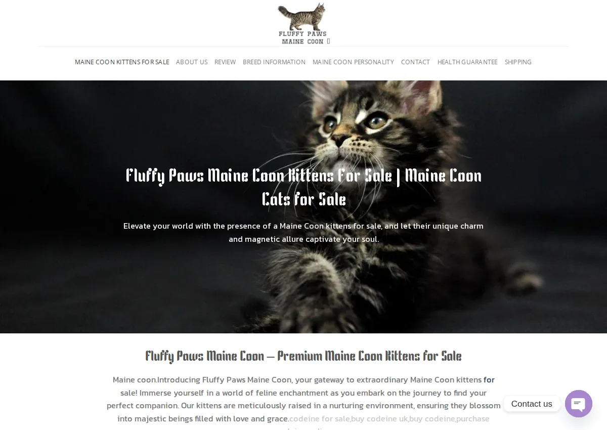 Store homepage