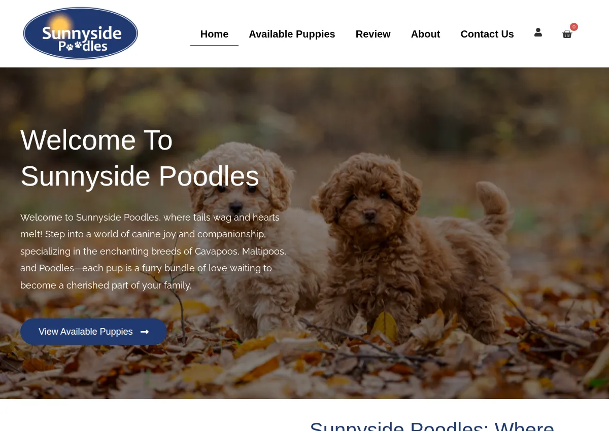 Store homepage